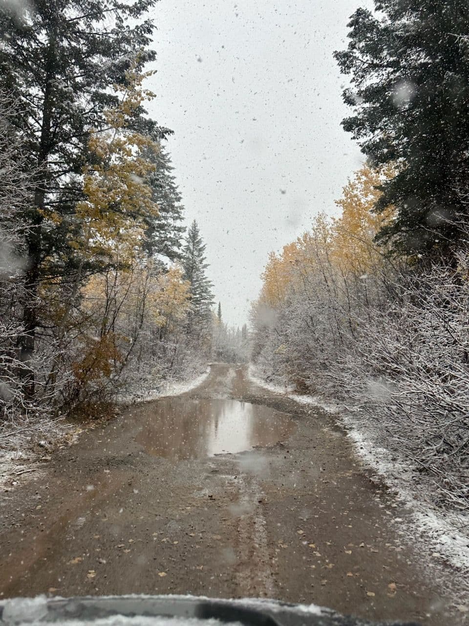 Driveway Ready for Winter with Evolution Concrete Pumping image